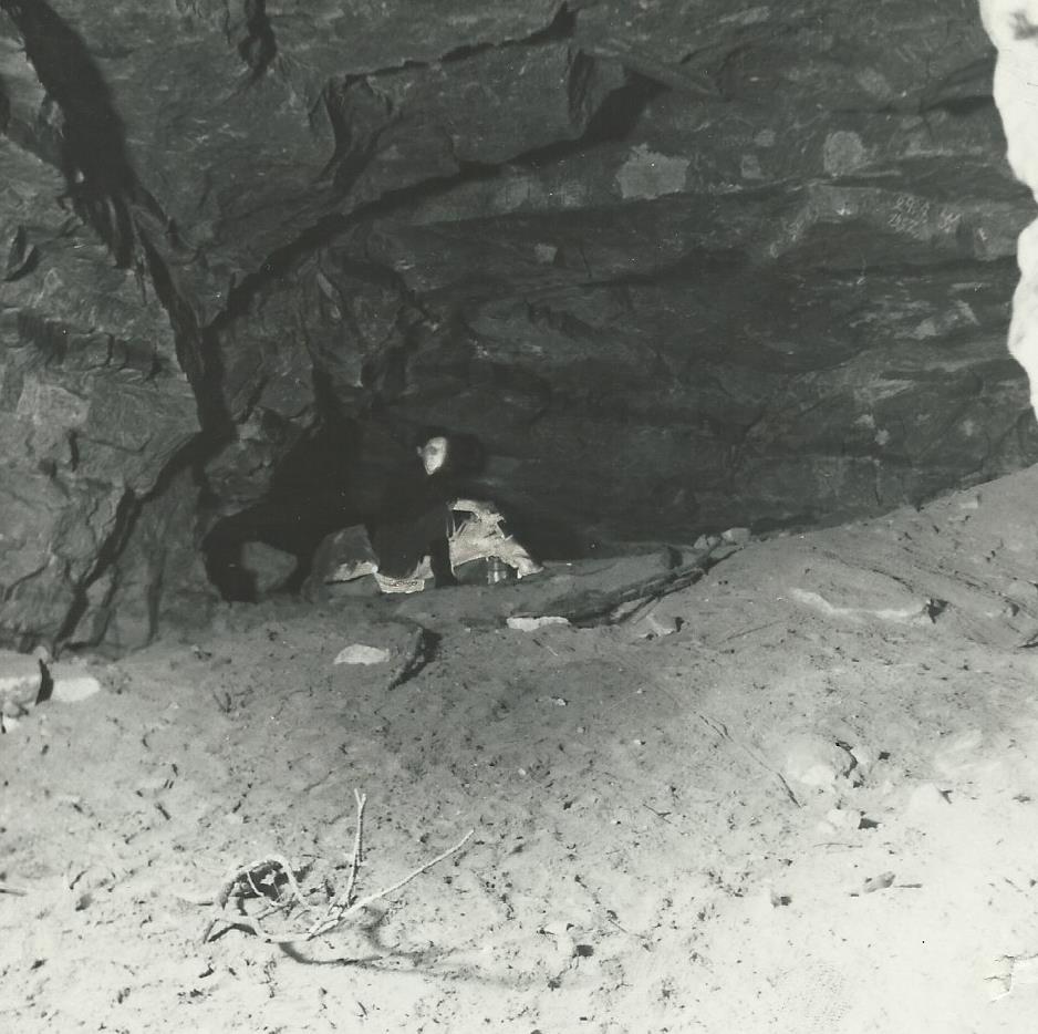 Jeskyně u Matějovic, Osoblažsko